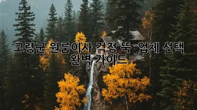 고령군 원룸이사, 걱정 뚝!  업체 선택 완벽 가이드