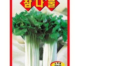 우리집 정원에 바나나 나무 심기?!🍌 꿀팁 대방출!