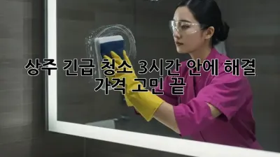 🏡 상주 긴급 청소, 3시간 안에 해결! 가격 고민 끝! 🧹✨